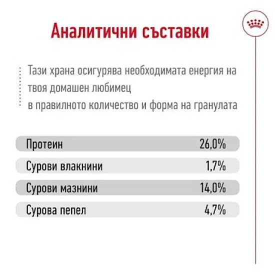 Royal Canin Medium Ageing 10+ – Суха храна за възрастни кучета от средни породи над 10 години - 15 кг