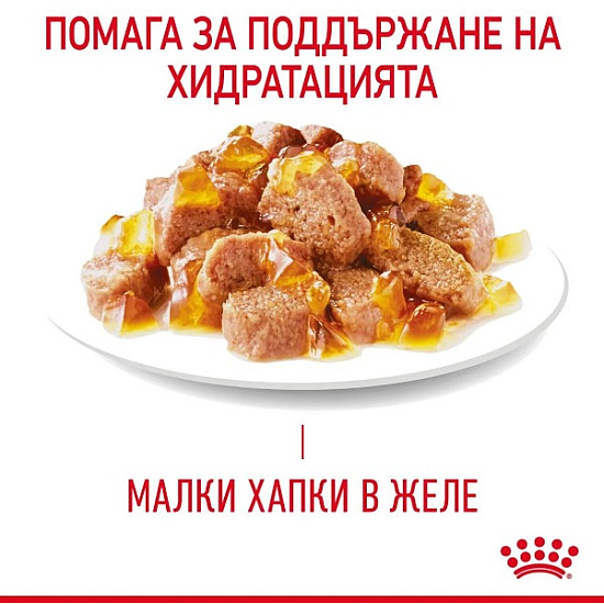 Royal Canin Hairball Care In Jelly 12 x 85- Пълноценна храна за котки в зряла възраст, склонни към образуване на космени топки – пауч парченца в желе