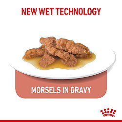 Royal Canin Indoor Gravy 12x85g - Пълноценна мокра храна със сос в пауч за котки в зряла възраст от 1 до 7 години, живеещи на закрито