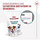 Royal Canin Training Treats - Лакомства за куче - 110 гр