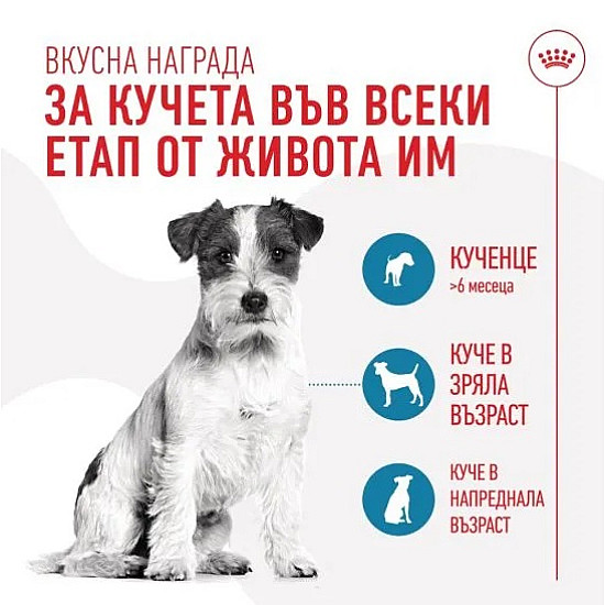 Royal Canin Training Treats - Лакомства за куче - 110 гр