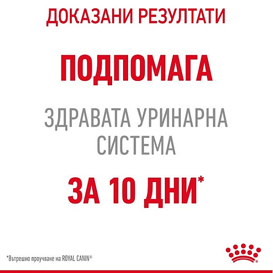Royal Canin Urinary Care In Jelly 12x85 - Пълноценна мокра храна за котки в зряла възраст с уринарна чувствителност – пауч парченца в желе