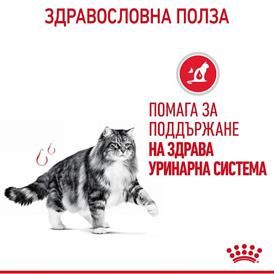 Royal Canin Urinary Care In Jelly 12x85 - Пълноценна мокра храна за котки в зряла възраст с уринарна чувствителност – пауч парченца в желе