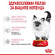 Royal Canin Kitten in Jelly Pouch - Пауч за подрастващи котенца хапки в желе 12x85g