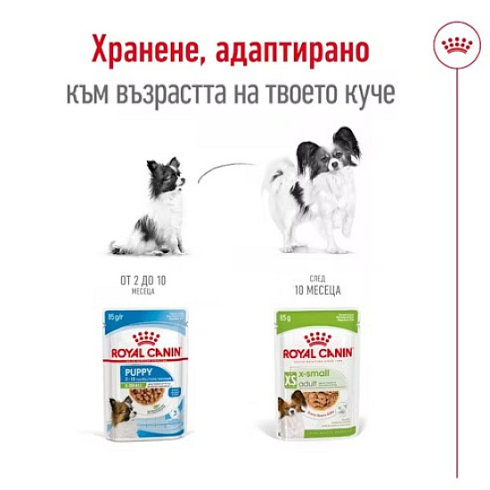 Royal Canin X-small Adult Pouch - Пълноценна мокра храна за кучета от миниатюрни породи в зряла възраст
