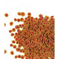 Tetra Sachet tetrapro colour - храна за наситен цвят 12гр