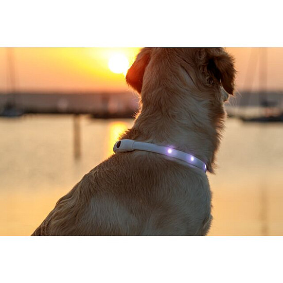 Trixie - Светещ нашийник XS - XL с USB