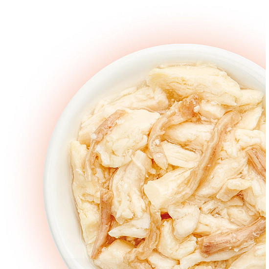 Cat Fest Chicken and Duck in Jelly - Пауч за котки с пиле и патица в желе