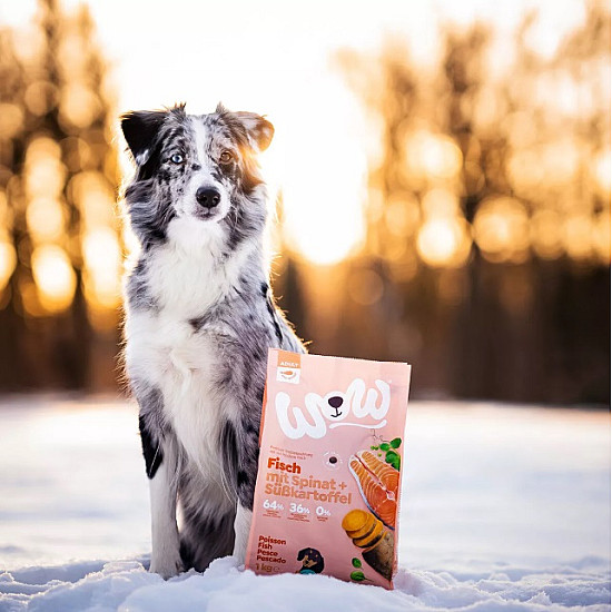 Wow Dog Adult Fish - Суха храна за куче с риба, спанак и сладък картоф