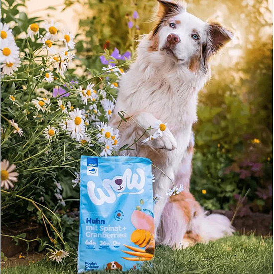 Wow Dog Adult Chicken - Суха храна за кучета с пиле, спанак и боровинки