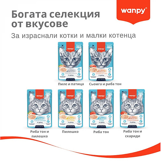 Wanpy Stew Chiken in gravy - Пауч за котки, ароматно стю с пилешко месо в сос - 70 гр