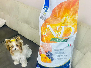 Победители в нашия Giveaway