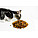 Суха храна на гранули за котки