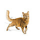 Royal Canin Fit 32 - Балансирана и пълноценна суха храна за котки в зряла възраст от 1 до 7 години
