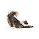 Royal Canin Indoor Long Hair - Пълноценна суха храна за дългокосмести котки в зряла възраст от 1 до 7 години, живеещи на закрито 