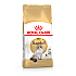 Royal Canin Ragdoll Adult 10 kg - Пълноценна суха храна за рагдол в зряла възраст над 12 месеца