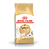 Royal Canin Sphynx Adult - Пълноценна суха храна за котки сфинкс в зряла възраст над 12 месеца