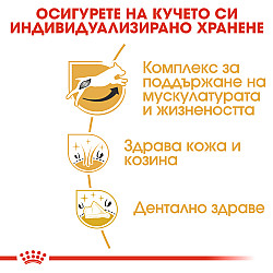 Royal Canin Jack Russell Terrier Adult-суха храна за джак ръсел 1.5 кг