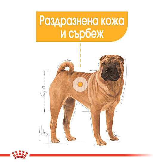 Royal Canin Dermacomfort Medium - Пълноценна суха храна за кучета от средни породи, склонни към раздразнена и сърбяща кожа