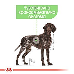 Royal Canin Ccn Digestive Care Maxi - Суха храна за кучета с чувствителна храносмилателна система