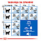 Royal Canin Indoor 7+ - Пълноценна суха храна за котки в зряла възраст над 7 години, живеещи на закрито