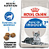 Royal Canin Indoor 7+ - Пълноценна суха храна за котки в зряла възраст над 7 години, живеещи на закрито