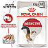 Royal Canin Instinctive Loaf 12x85g - Пълноценна мокра храна (пастетна текстура) в пауч за възрастни котки от 1 до 7 години