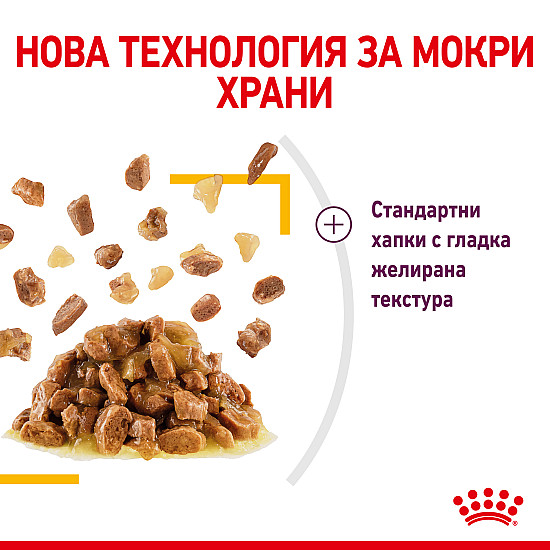 Royal Canin Sensory Taste In Jelly 12x85g - Пълноценна мокра храна хапки в желе в пауч за котки в зряла възраст над 1 година 12 бр по  85 гр