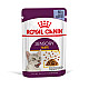 Royal Canin Sensory Taste In Jelly 12x85g - Пълноценна мокра храна хапки в желе в пауч за котки в зряла възраст над 1 година 12 бр по  85 гр