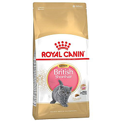 Royal Canin British Shorthair Kitten - суха храна за подрастващи британски късокосмести котенца до 12 месеца