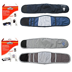 Camon Гащи-колан за мъжки кучета