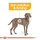 Royal Canin Ccn Dermacomfort Care Maxi 12kg - суха храна за кучета предразположени към кожни раздразнения и сърбеж