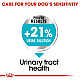 Royal Canin Urinary Care Mini - суха храна за поддържане здравето на уринарния тракт за кучета от дребни породи