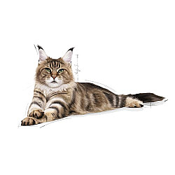 Royal Canin Maine Coon Adult - Пълноценна суха храна за мейн куун в зряла възраст над 15 месеца