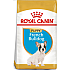 Royal Canin French Bulldog Puppy - суха храна за подрастващи кучета от порода френски булдог от 2- до 12-месечна възраст