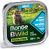 Monge-Bwild Natural Superpremium Grain Free Adult Cat  100g - аншоа и зеленчуци зелен фасул и моркови