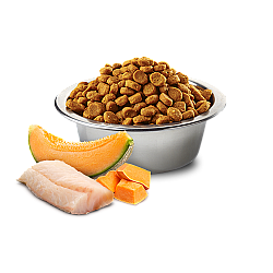 N&D Ocean Dog Cod, Pumpkin & Cantaloupe Melon Puppy Mini - с риба треска, тиква и пъпеш