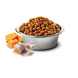 Farmina N&D Mini Adult Dog Quinoa Skin & Coat - Суха храна за кучета от дребни породи с херинга, киноа, кокос и куркума - 800 гр