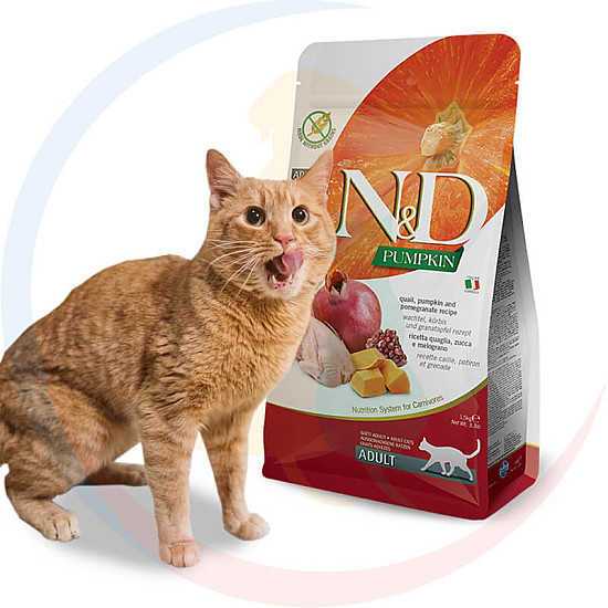 N&D Cat Adult Quail,Pomegranate and Pumpkin - с тиква, пъдпъдък и нар