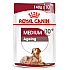 Royal Canin Medium Ageing 10+ - Паучове за възрастни кучета от средни породи над 10г - 10х140гр