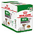 Royal Canin Mini Adult Ageing 12+ - Паучове за възрастни кучета от дребни породи - 12х85г
