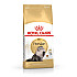 Royal Canin Persian Adult  - Пълноценна суха храна за персийски котки в зряла възраст над 12 месеца