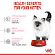 Royal Canin FHN Kitten - суха храна за подрастващи котенца до 12 месеца