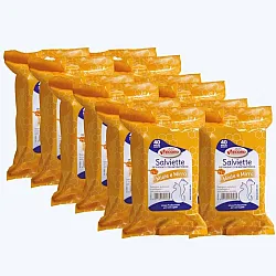 Record Honey - Почистващи мокри кърпички за кучета и котки с мед - 40 бр