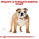 Royal Canin Bulldog Adult - суха храна за кучета порода булдог в зряла възраст над 12 месеца