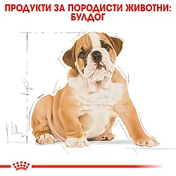 Royal Canin Bulldog Puppy - суха храна за  подрастващи кучета порода булдог