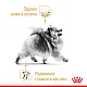 Royal Canin Bhn Pomeranian Pouch 12x85g - Пауч за померан