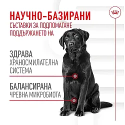 Royal Canin Adult Dog Supplement Digestion - Хранителна добавка за кучета в зряла възраст за по-добро храносмилане 160 гр