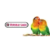 Versele Laga