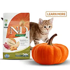 Котки